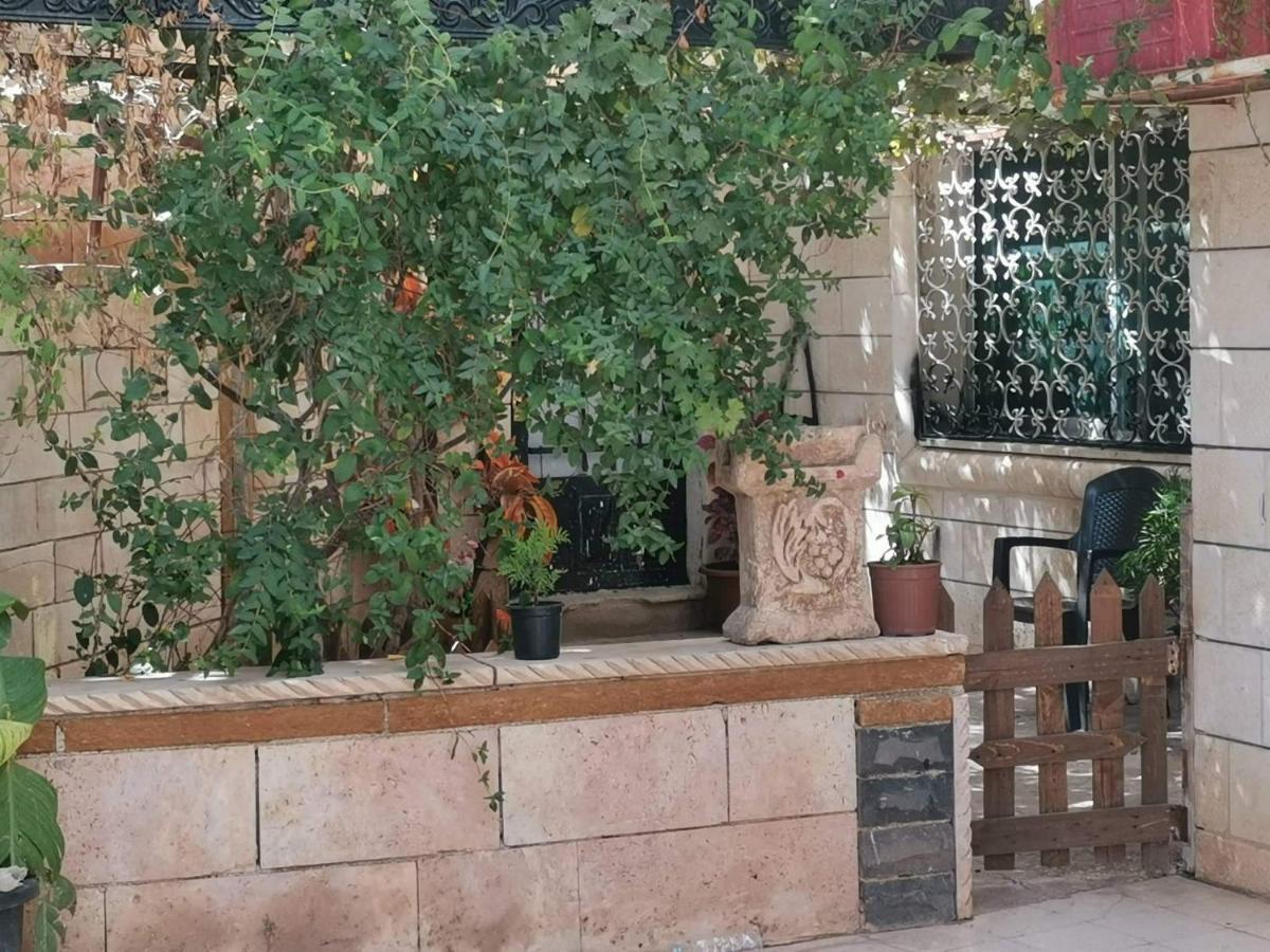 Flower Jarash Buitenkant foto